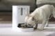 PETKIT automatic feeder with camera - YUMSHARE Dual-Hopper Smart - Image 18