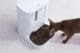 PETKIT automatic feeder with camera - YUMSHARE Dual-Hopper Smart - Image 11