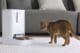 PETKIT automatic feeder with camera - YUMSHARE Dual-Hopper Smart - Image 10
