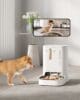 PETKIT automatic feeder with camera - YUMSHARE Dual-Hopper Smart - Image 4